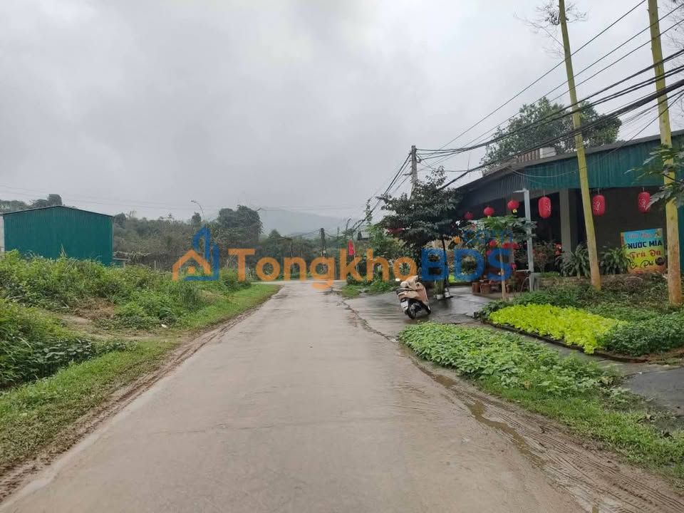 Đất nền Bảo Hưng 305m² 900 triệu - Đường to ô tô