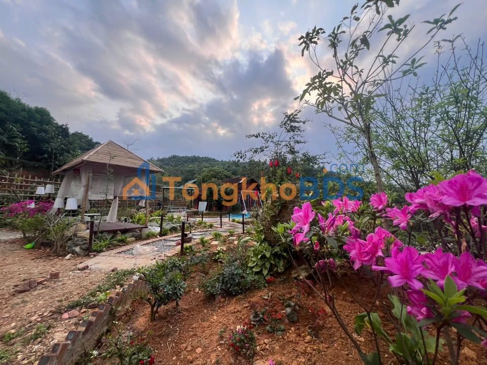 Đất vườn Ba Vì 2.613m² giá 5 tỷ - Nghỉ dưỡng lý tưởng