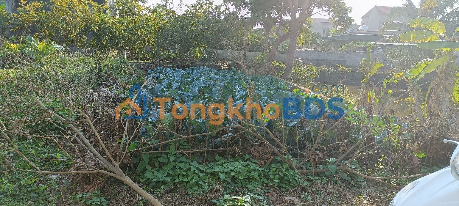 Đất nền Ngõ Phạm Thận Duật 111m² 1 tỷ - Sổ đỏ chính chủ