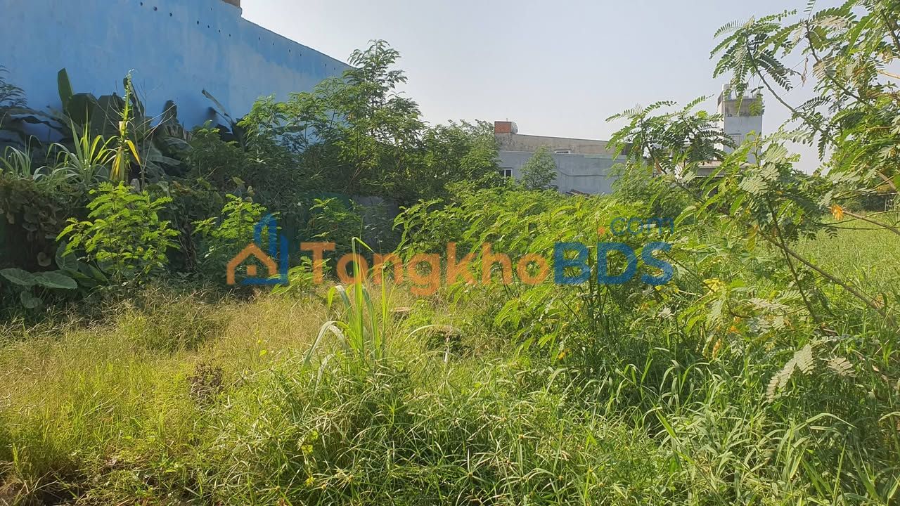 Đất nền Phú Nhuận 329m² 4.8 tỷ - Sổ đỏ chính chủ