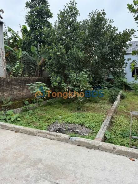 Đất xã Tự Nhiên Thường Tín 83m² 415tr - Sổ đỏ chính chủ