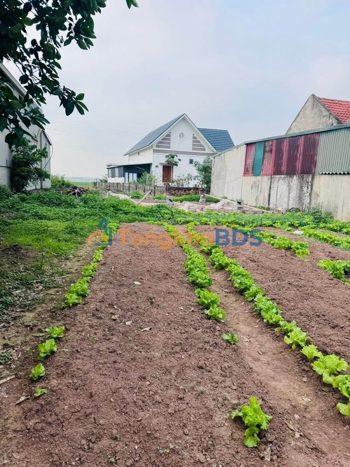 Đất nền An Vinh Quỳnh Phụ 733m² 1.7 tỷ - Hạ tầng hoàn thiện