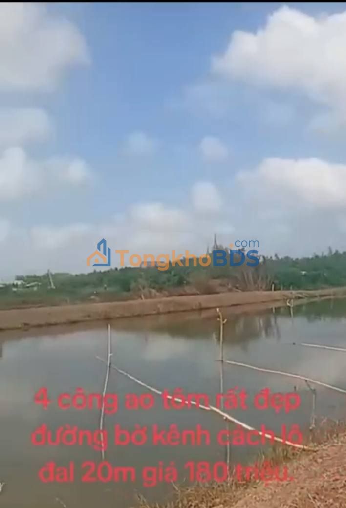 Đất nền Vĩnh Tân Vĩnh Châu 4000m² 180 triệu - Pháp lý rõ ràng