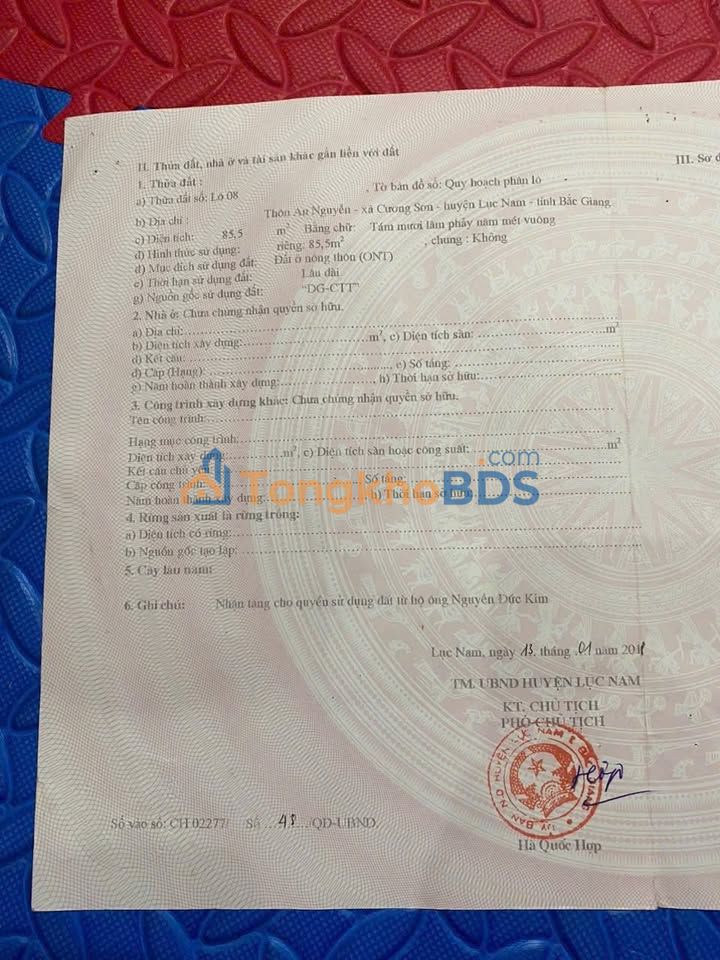 Đất TL293 Lục Nam 85m² 3 tỷ - Sổ đỏ chính chủ