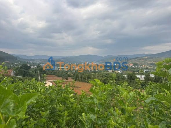 Đất nền Phường 5 Đà Lạt 125m² 599 triệu - Sổ hồng riêng