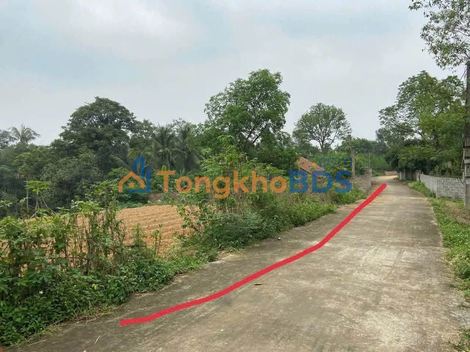 Đất nền Tam Nông 198m² 5xx triệu - Sổ đỏ chính chủ