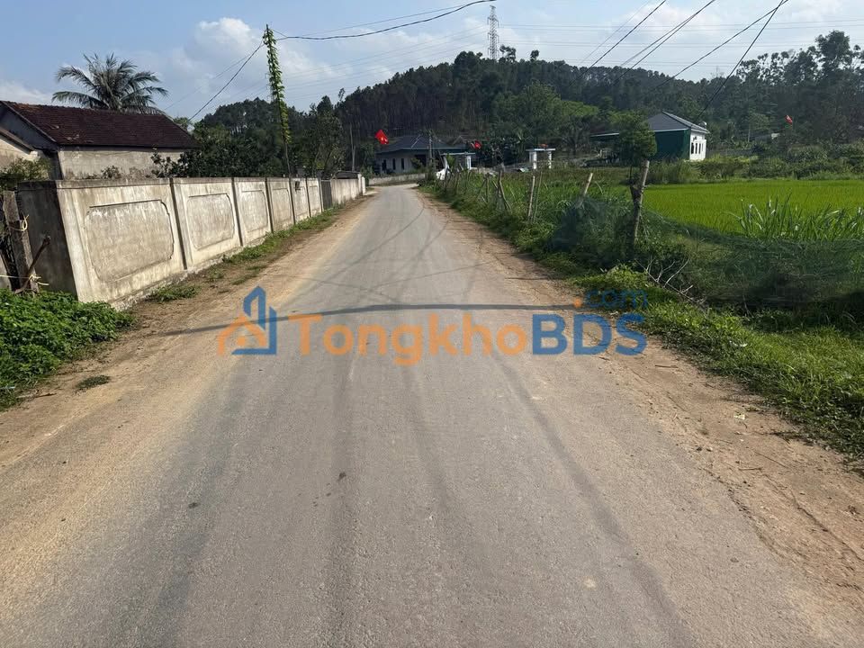 Đất nền Nam Hưng Nam Đàn 250m² 600-699tr - Đường to ô tô