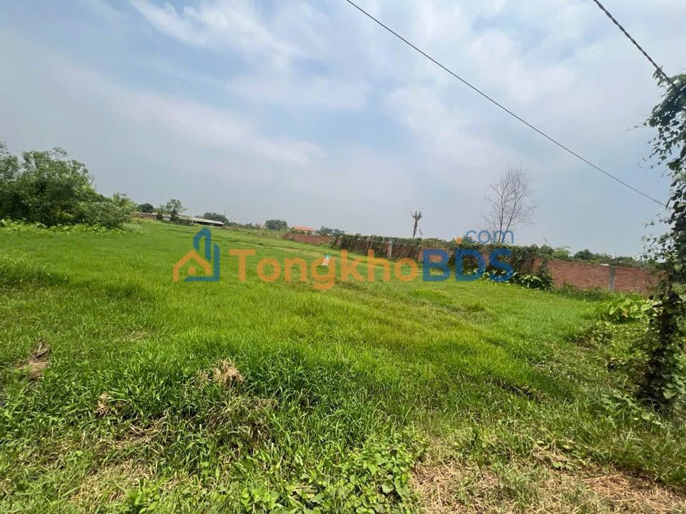 Đất nền Thái Hòa Tân Uyên 2.000m² thỏa thuận - Tiềm năng tăng giá