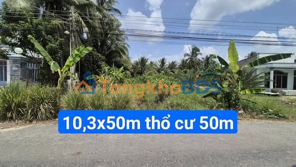 Đất nền Ấp Thanh An 515m² 800tr - Sổ đỏ chính chủ