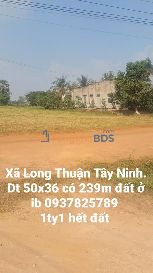Đất nền Long Thuận 1.800m² giá 1.1 tỷ - Sổ đỏ chính chủ
