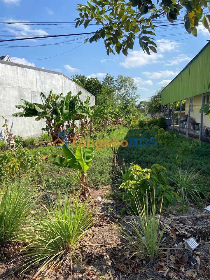 Đất nền Phú Xuyên TL1 576m² 800 triệu - Thổ cư 100%