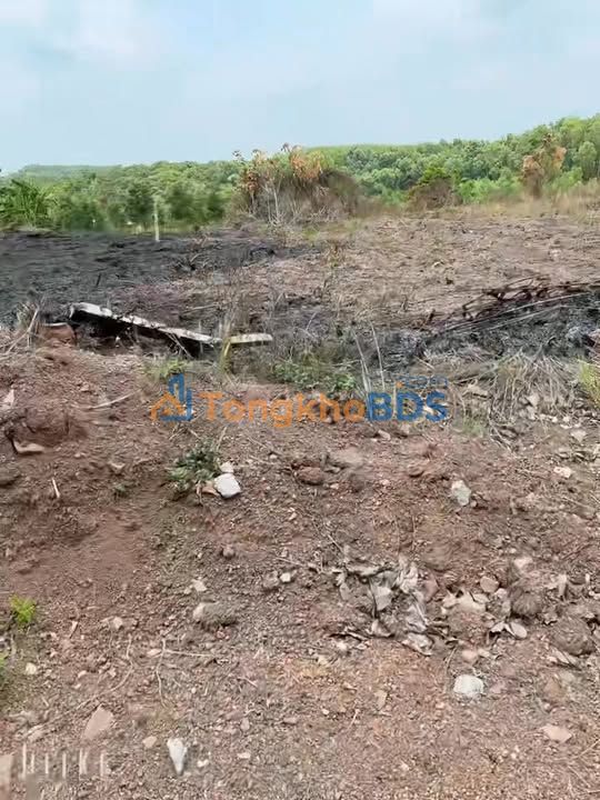 Đất nền Nguyễn Văn Linh Đồng Phú 150m² - Đường to ô tô