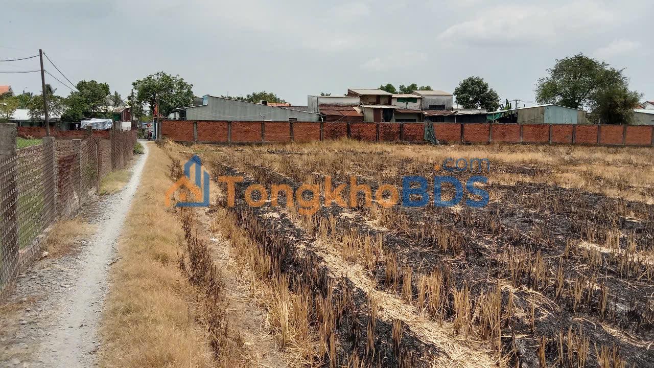 Đất vườn Hưng Long Bình Chánh 2000m² 4.5 tỷ - Sổ đỏ chính chủ