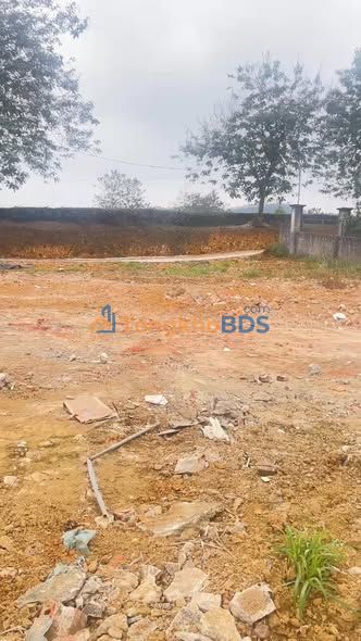 Đất nền Bình Dân Thanh Sơn 1.793m² 2 tỷ - Sổ đỏ