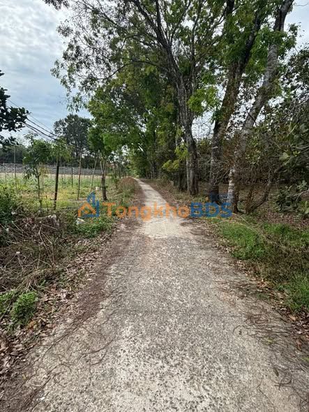 Đất nền Chơn Thành 1980m² 1.2 tỷ - Tiềm năng tăng giá