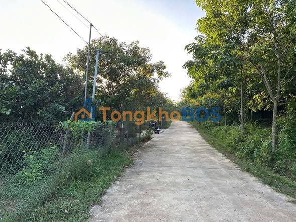 Đất nền Hớn Quản, Bình Phước - 2250m² giá chỉ hơn 300 triệu