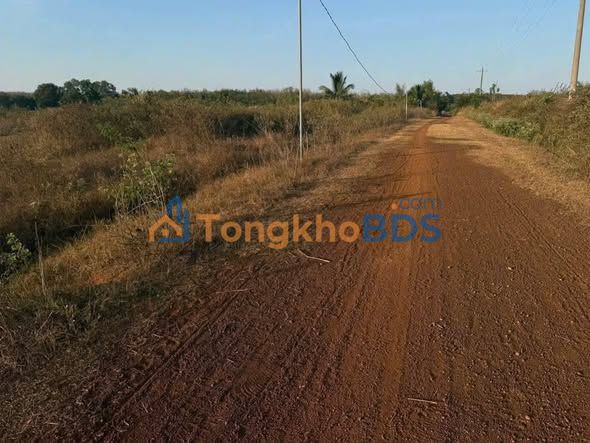 Đất Thanh An Hưng Long 200-299 triệu - Tiềm năng tăng giá