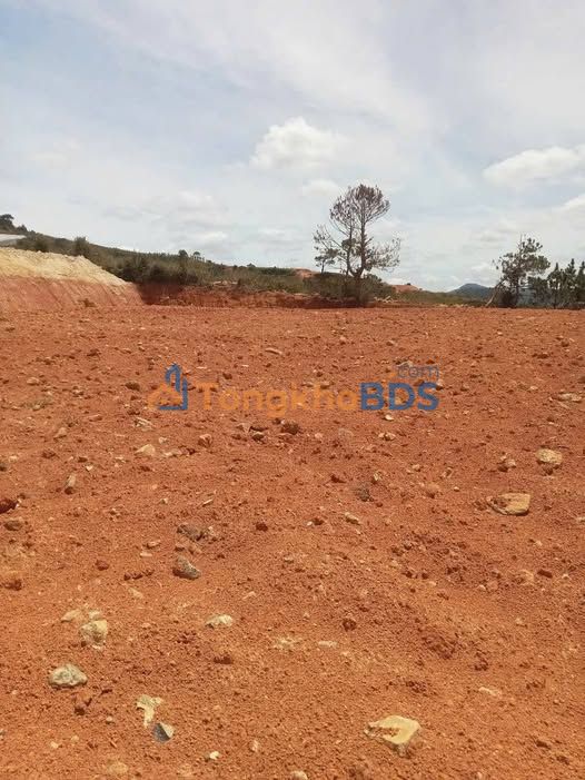 Farm Lạc Dương Điện Biên Phủ 4.300m² 3.7tỷ - An yên tĩnh