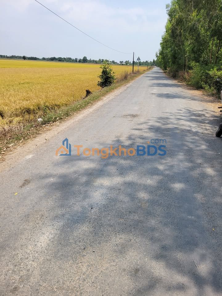 Đất Long An Bình Hòa Đông 2.000m² 800 triệu - Đường to ô tô