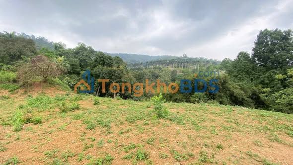 Đất nền Hòa Sơn Lương Sơn 2000m²/6 tỷ - Sổ đỏ chính chủ