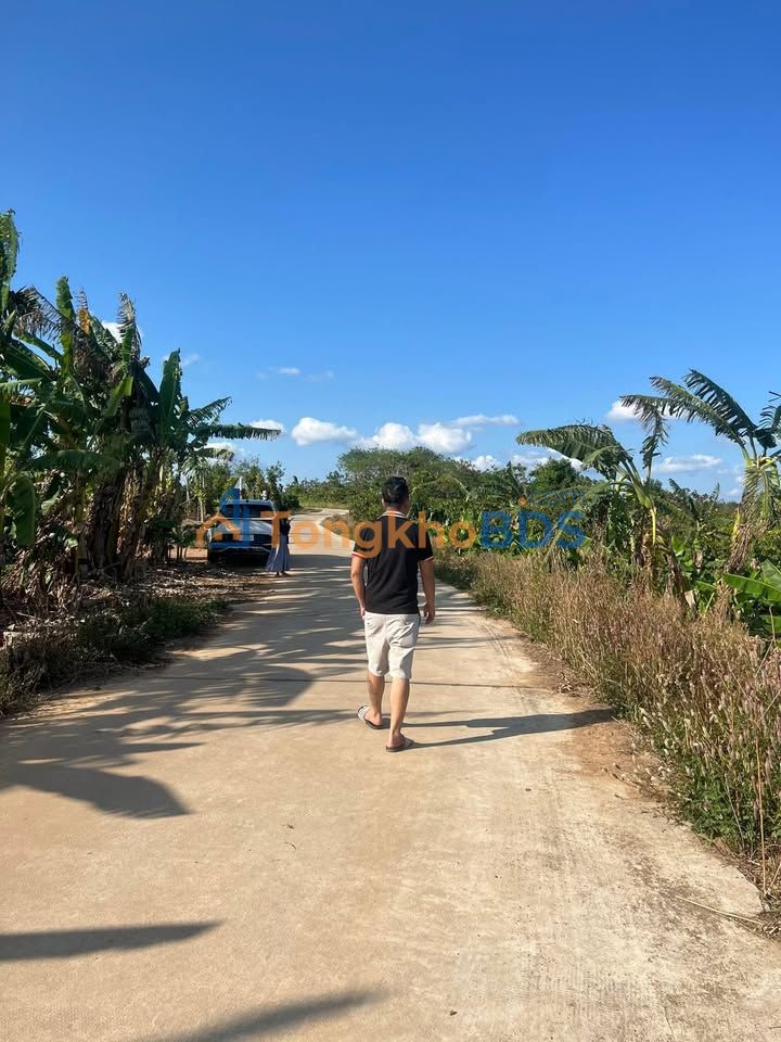 Đất nền xã Ea Dăh Krông Năng 1,2ha - Sổ đỏ chính chủ