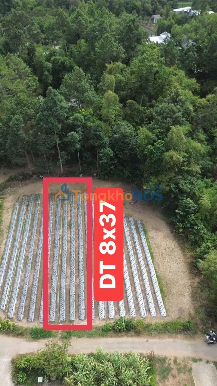 Đất nền Ngũ Lạc Duyên Hải 296m² 69.56 tỷ - Đường ô tô