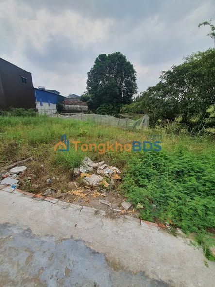 Đất nền Nam Định Đỗ Mạnh Đạo 80m² 700tr - Sổ đỏ chính chủ