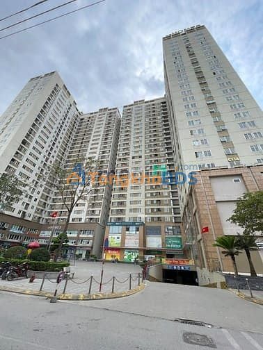 Căn hộ Tân Tây Đô 80m² 5 tỷ - View đẹp sẵn ở