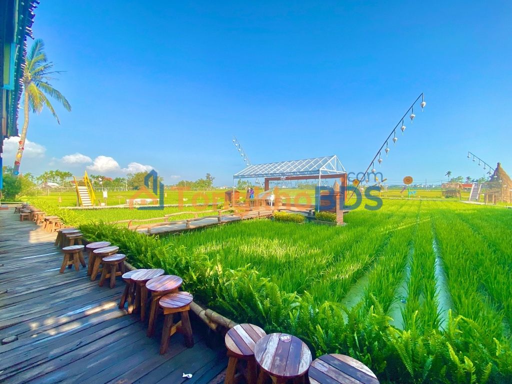 Đất nền Hà Lam 390m² 1,1 tỷ - Đường ô tô, tiềm năng