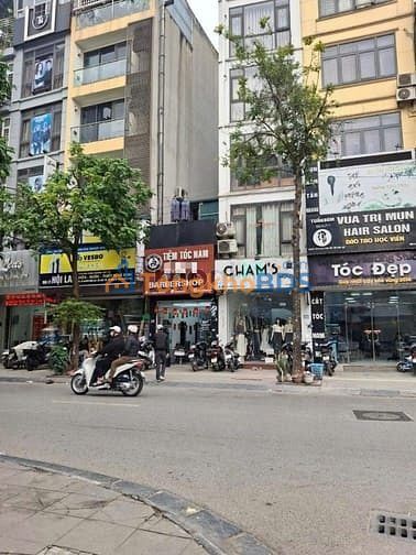 Đất nền Trương Công Giai 32m² 19.5 tỷ - Sổ đỏ chính chủ