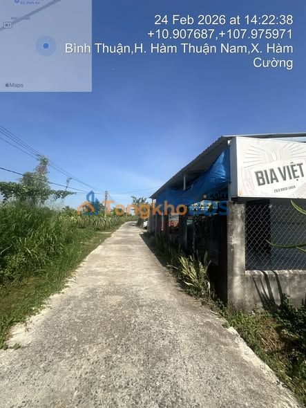 Bán 4 Lô Đất Thổ Cư Hàm Cường, Bình Thuận - 252m² Giá Tốt