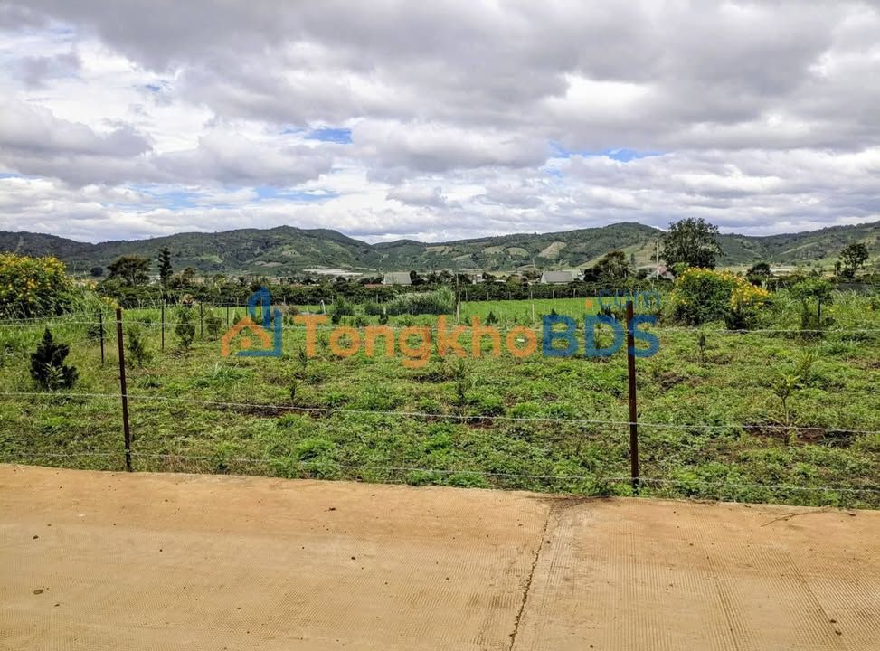 Đất nền Hiệp Thạnh Đức Trọng 100m² 1.45 tỷ - Pháp lý rõ ràng