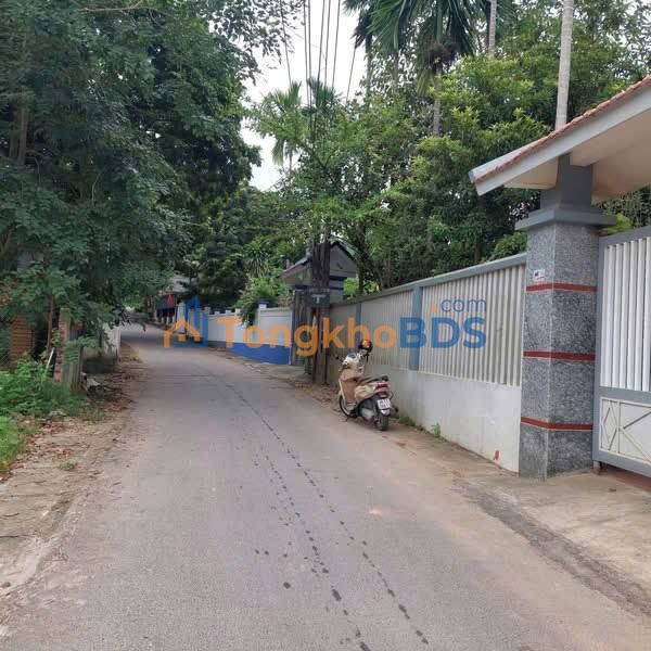 Đất nền Tứ Yên, Vĩnh Phúc - 110m² - Chỉ 1.3 tỷ - Sổ đỏ sẵn sàng