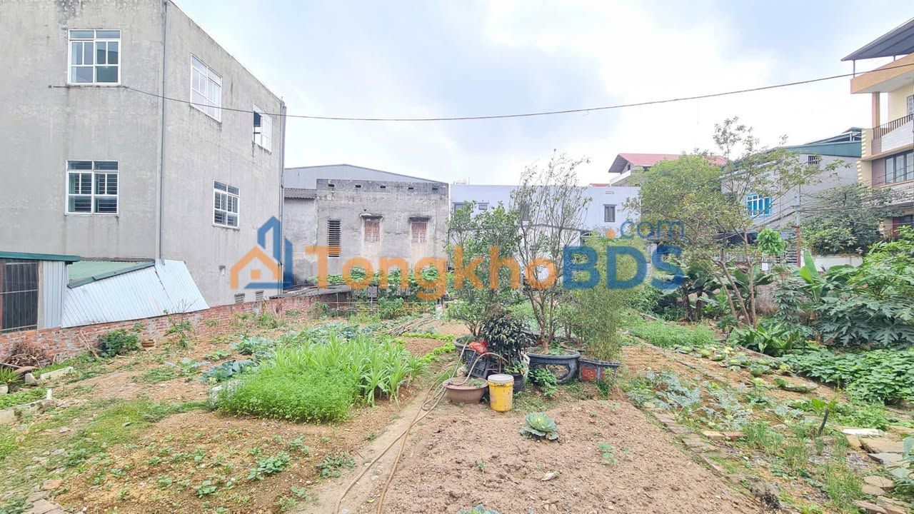 Nhà phố Hàm Nghi Việt Trì 178m² 5 tỷ - Mặt tiền kinh doanh