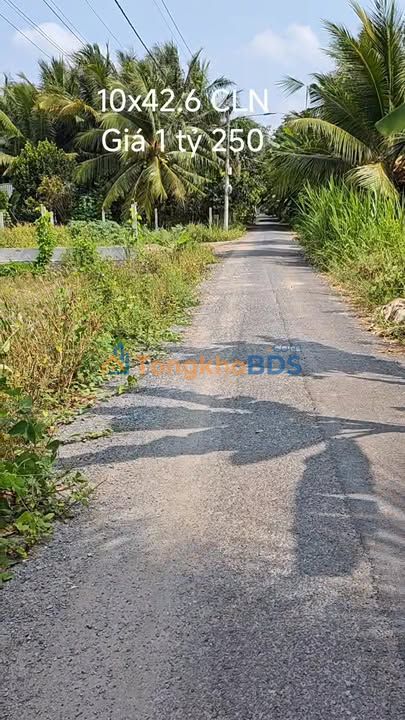 Đất Mỹ Phong Mỹ Tho 426m² 1.25 tỷ - Đường to ô tô