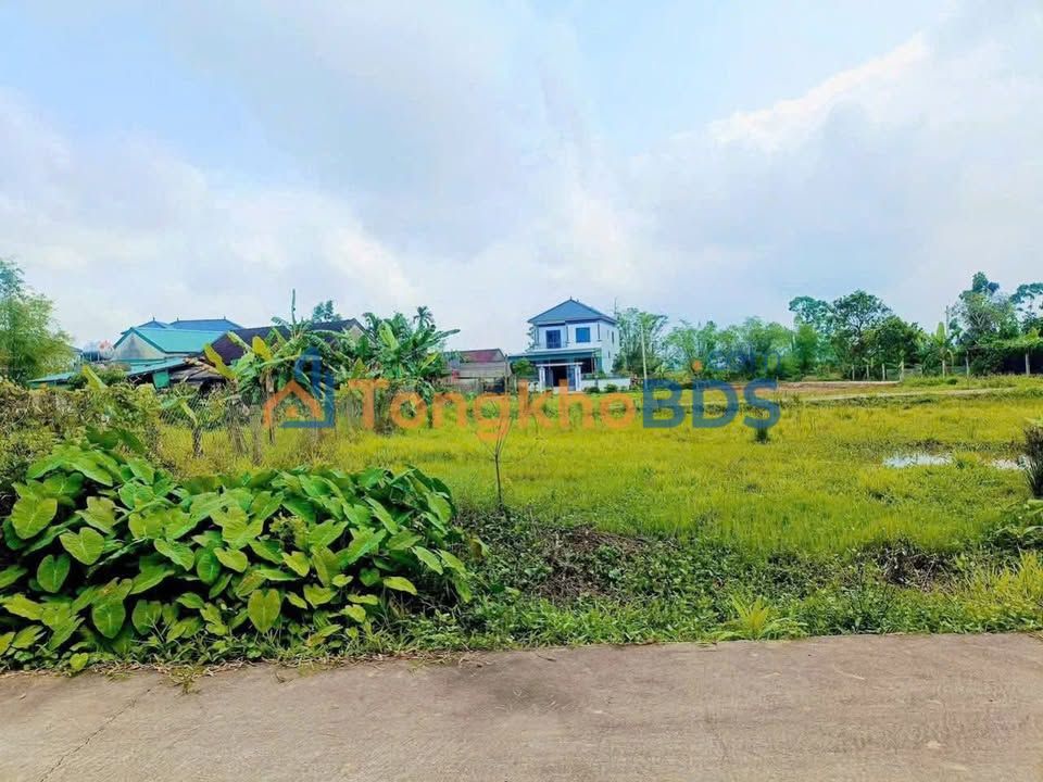 Đất nền Phường Hà Huy Tập Vinh 140m² 1 tỷ - Đường ô tô