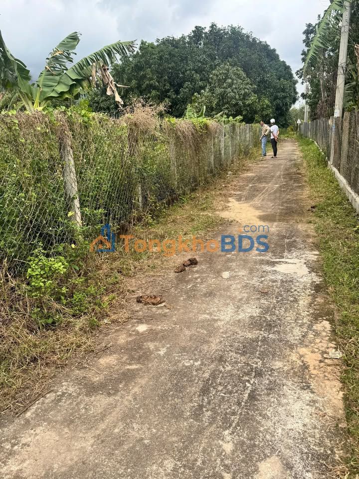 Đất Nền Phú Phong 271m² - Sẵn Sổ Lên Thổ, Giá Đầu Tư 650 Triệu