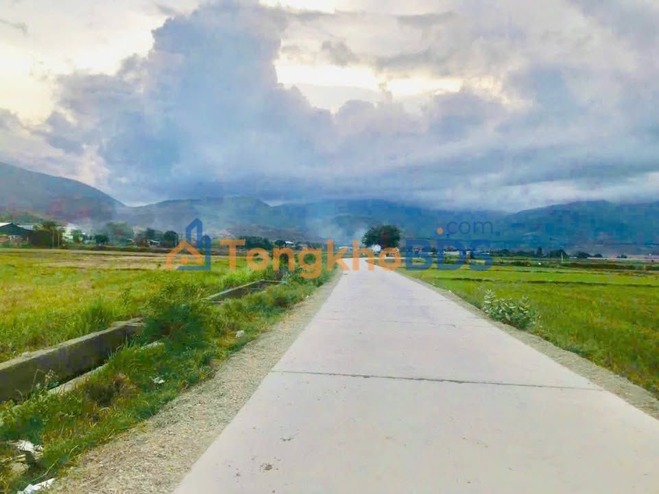 Đất lúa Cam Phú Cam Ranh 937m² 320 triệu - Đường to ô tô