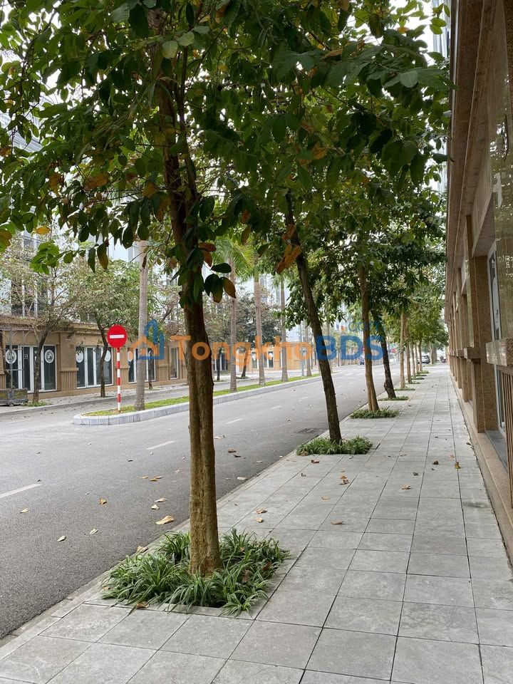 Nhà Mặt Đường Đôi Hoa Châu 84m² - Kinh Doanh/Ở Thoải Mái