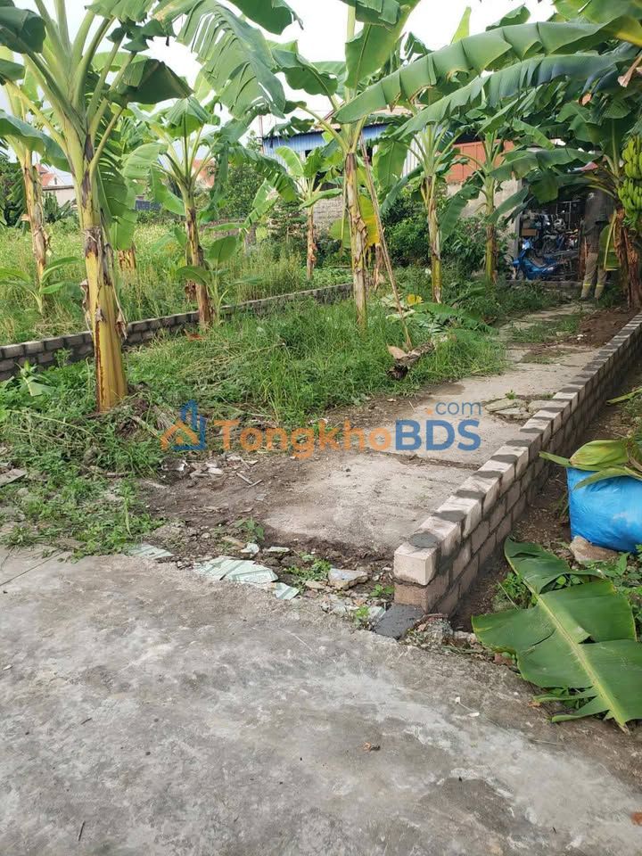 Đất Mỹ Đồng 5 Thủy Nguyên 70m² 1.2 tỷ - Sổ đỏ chính chủ