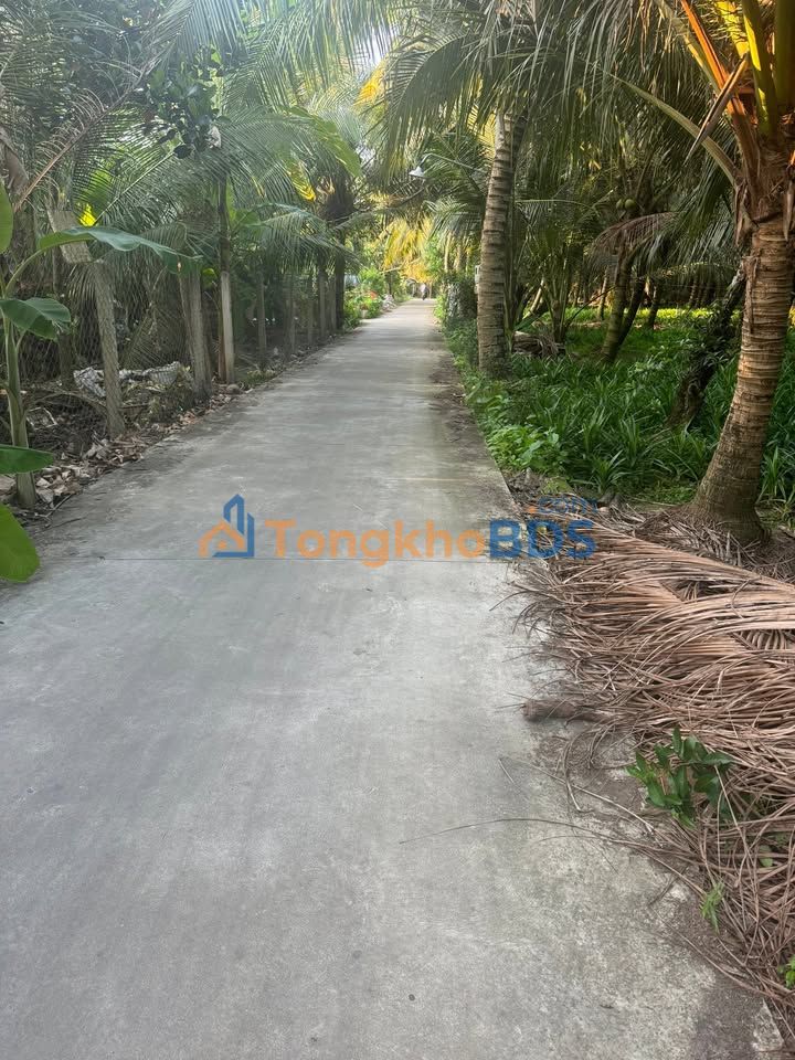 Đất nền vuông vắn 520m² Nhị Bình, Tiền Giang - Sẵn sàng lên thổ cư, ô tô tới đất