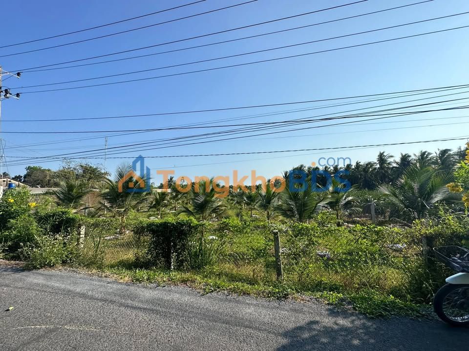 Đất nền Chợ Gạo 1.424m2 giá 2.5 tỷ - Hạ tầng hoàn thiện