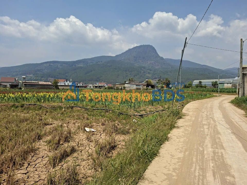 Đất Hiệp An Đức Trọng 1060m²/5 tỷ - Tiềm năng tăng giá