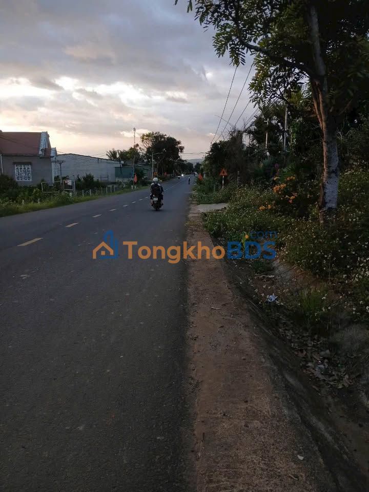 Đất nền Tân Hội Đức Trọng 2520m² giá 6,5 tỷ - Sổ đỏ chính chủ