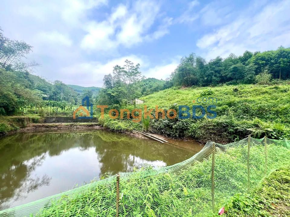 Đất nền 2032m² view đẹp, bám mặt đường 40m tại Tân Lạc - Giá đầu tư F0