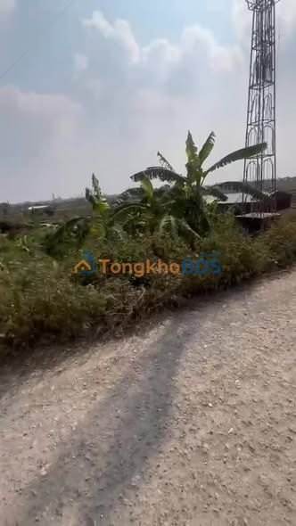 Đất nền Nghĩa Thái 300m² 1.15 tỷ - Xây dựng tự do