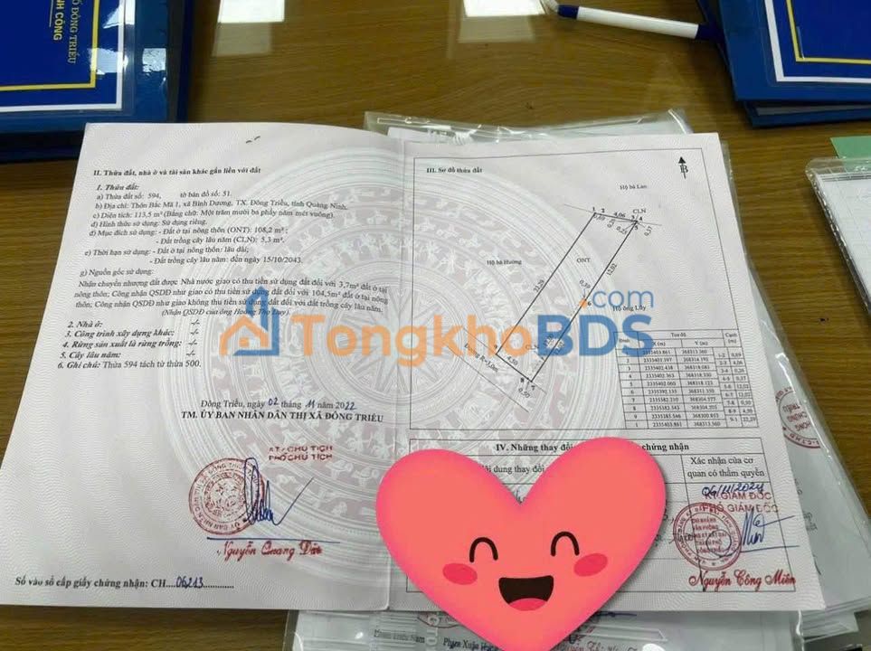 Đất nền Bàu Bàng 113m² giá chỉ 4xx triệu - Sổ đỏ sẵn sàng