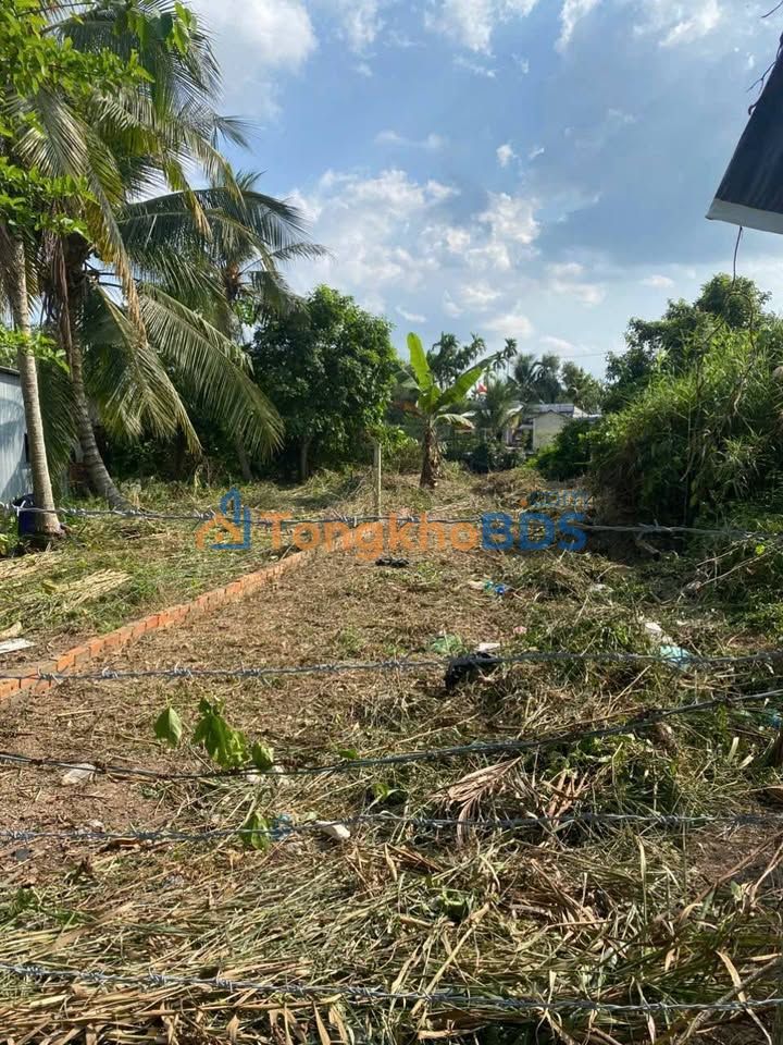 Đất Tân Thới Phong Điền 389m² giá 8xx triệu - Pháp lý rõ ràng