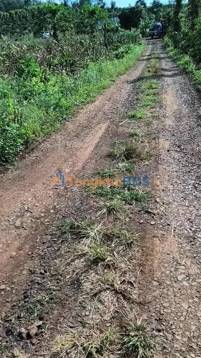 Bán Đất Nền Đăk R'Tô 1080m² - Sổ Đỏ Sẵn Sàng