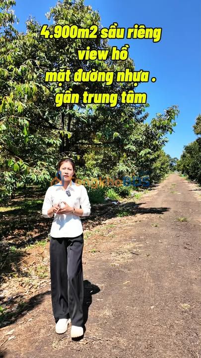 Đất vườn Gia Nghĩa 4.900m² thổ cư 240m² - Nghỉ dưỡng lý tưởng